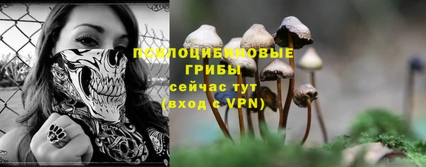 ПСИЛОЦИБИНОВЫЕ ГРИБЫ Остров