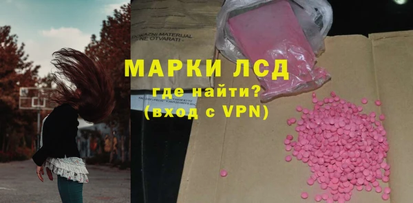 шишки Осинники