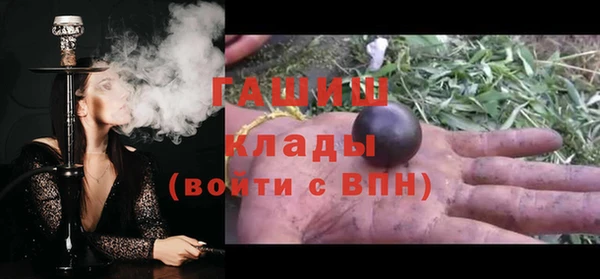 шишки Осинники