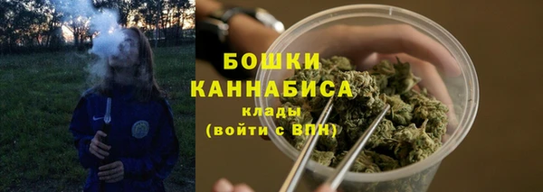 шишки Осинники