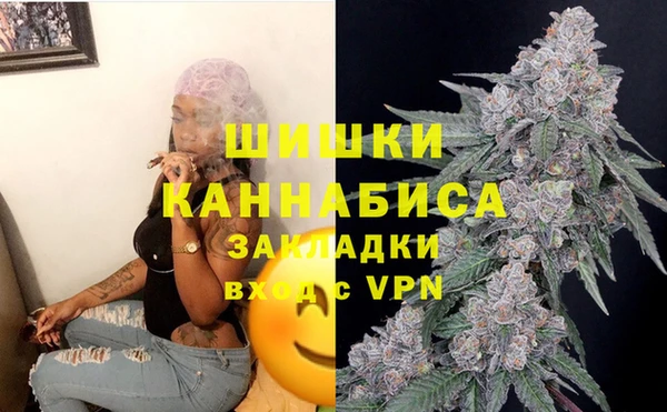 шишки Осинники