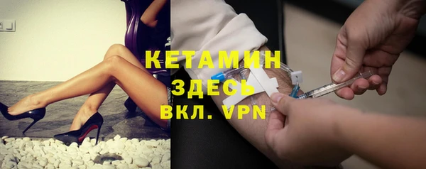 шишки Осинники