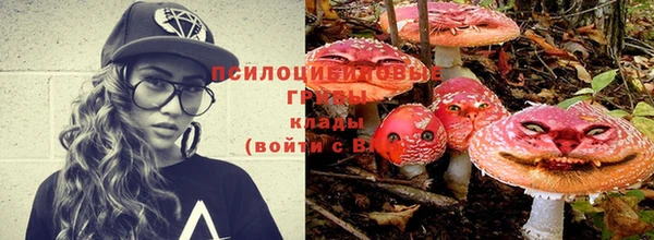 стаф Осташков