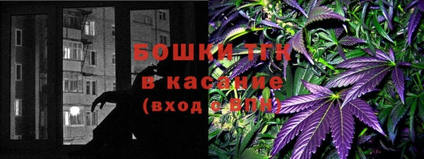 шишки Осинники