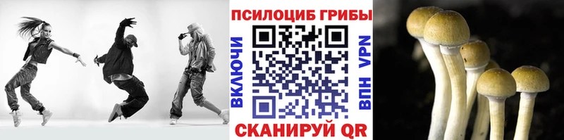 Псилоцибиновые грибы Magic Shrooms  Купить где  Поронайск 